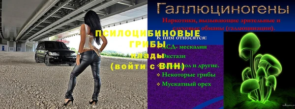 прущий лед Бронницы