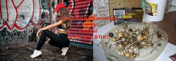 прущий лед Бронницы