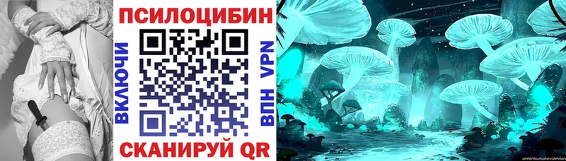 продажа наркотиков  Камбарка  Галлюциногенные грибы прущие грибы 